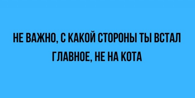 Так себе картинки 19.02.24
