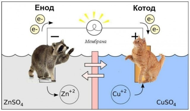 Юмор в картинках и без