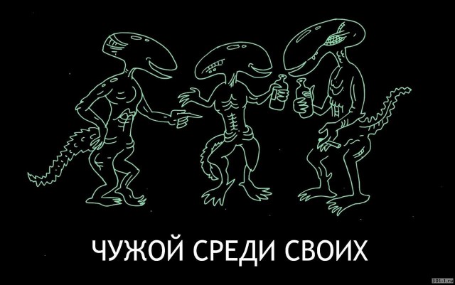 Мем чужой и девушка Что делать, если в 2024 году приходят чужие штрафы ГИБДД iBOX на DRIVE2