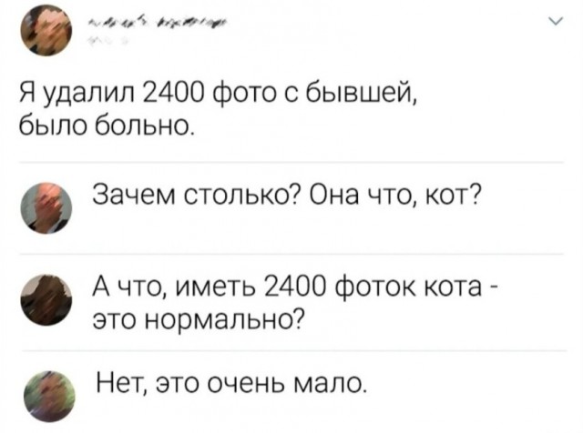 Всего понемногу. От 30.09.24