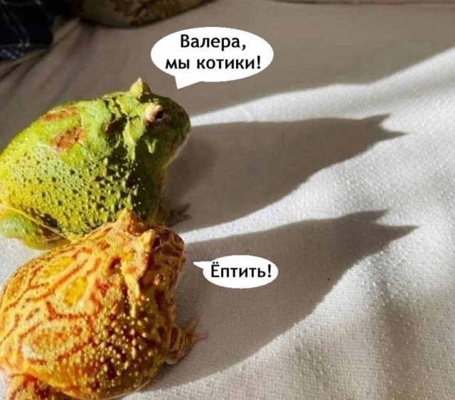 Отборные баяны 10-летней выдержки vol. 6