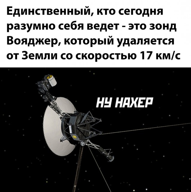 Так себе картинки 21.12.24