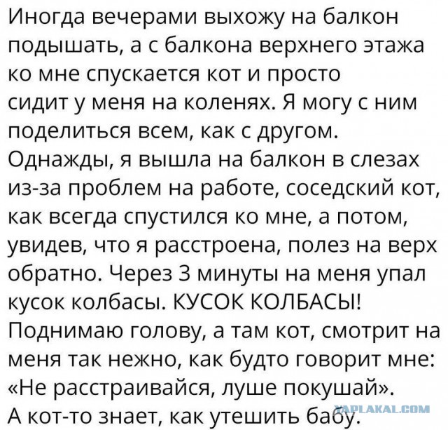 Картинки не для всех