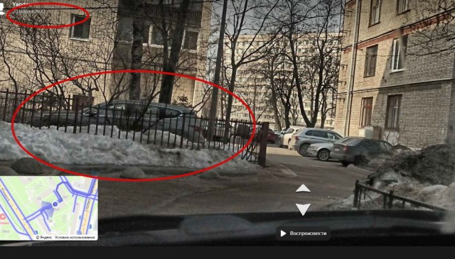 Хозяин газона в СПб!