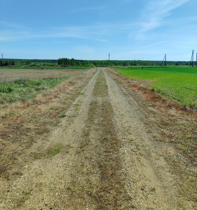 Белорусский
