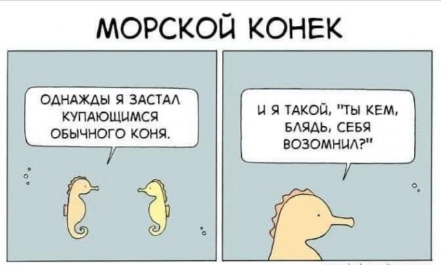 Маленькая пятница 28.05