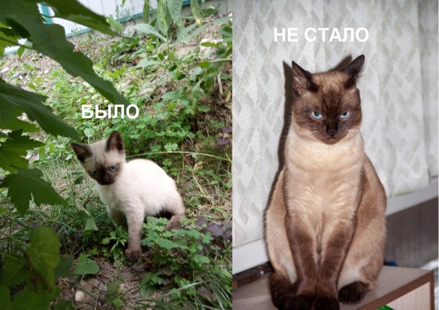 Было-стало
