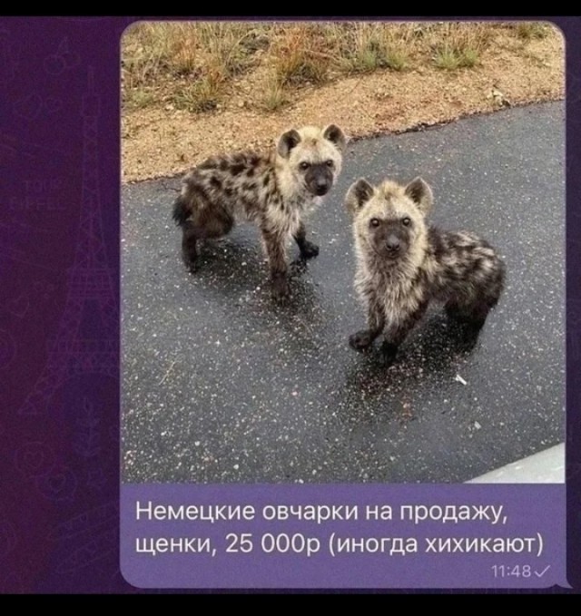 Ну и по традиции