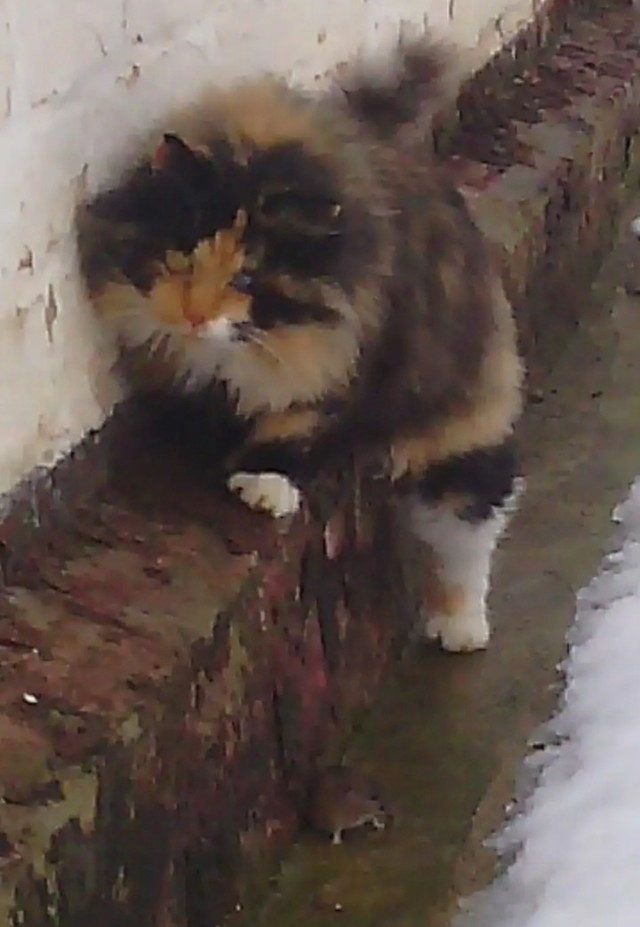 Как будто что то выдернули из души....