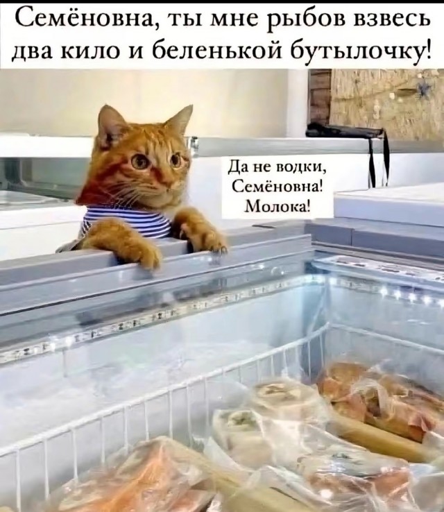 Так себе картинки 28.08.25