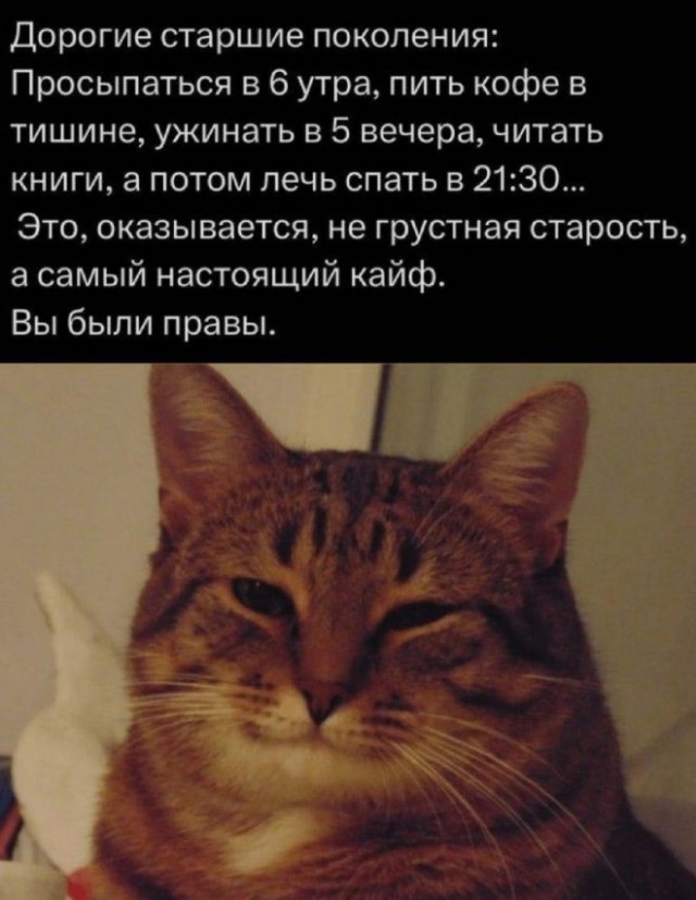 Картинки для деградации 40 (разной степени свежести)