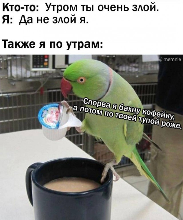 Дегрономикон 4