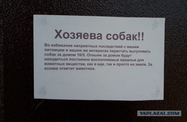 Любителям собачек