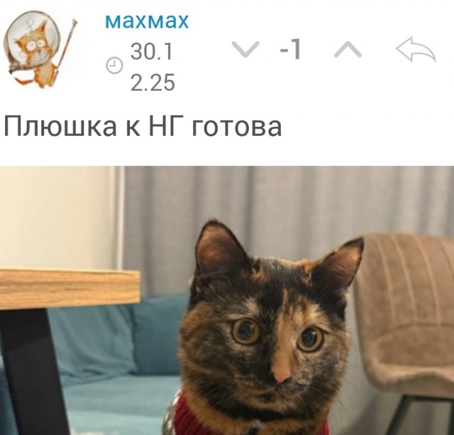 Котовторник,  кот Марс.