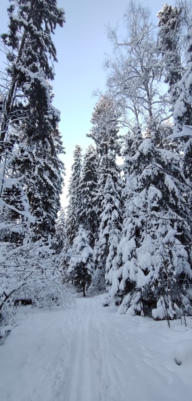 Зимняя дорога