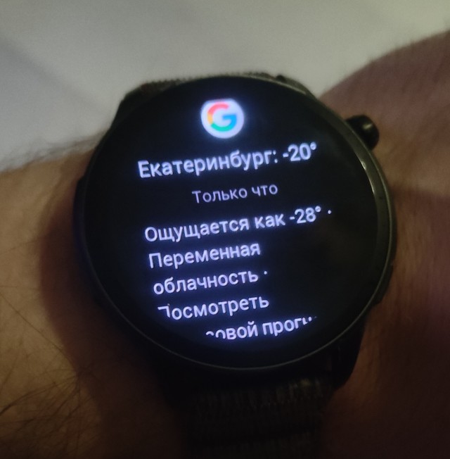 В Москве в условиях предстоящих морозов стартовала игра на выживание.