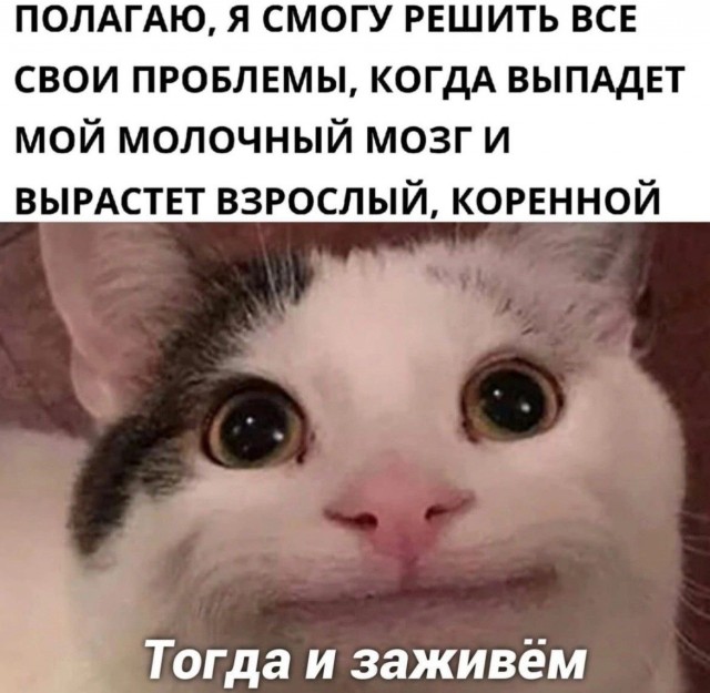 Картиночки, баянчики 07 февраля
