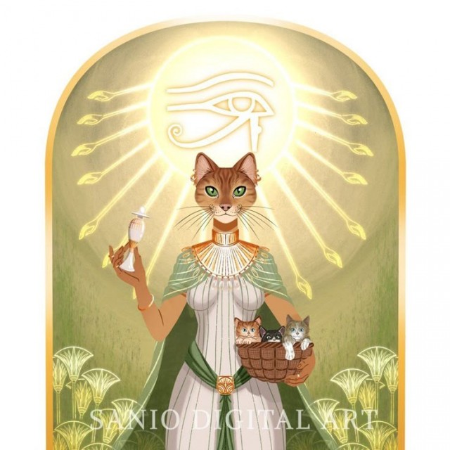 Жизнь домашнего приюта для котеек 577