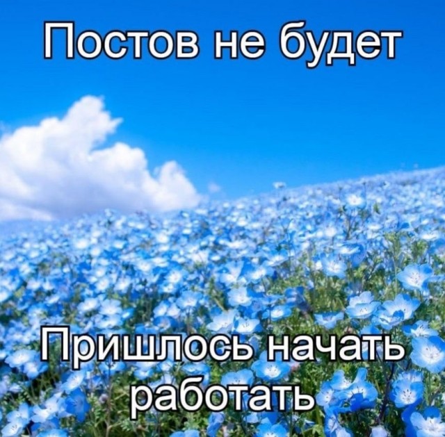Так себе картинки 28.10.26