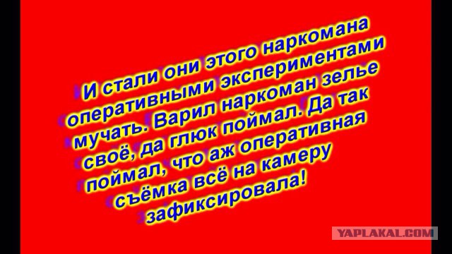 Тимошенко: Мы не остановимся, пока не вернем Крым