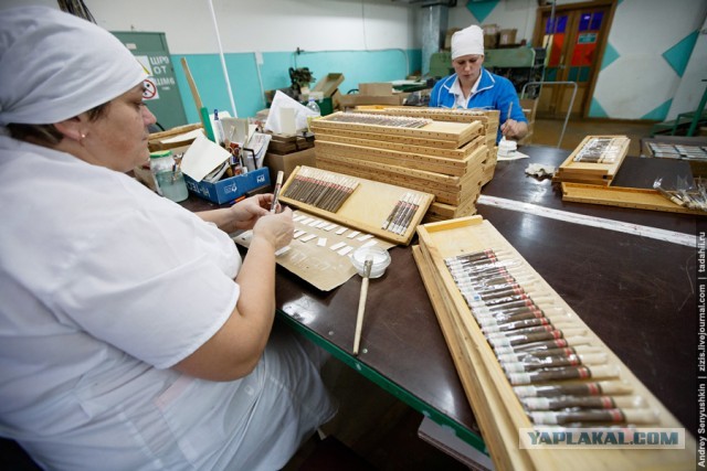 Как в России делают сигары
