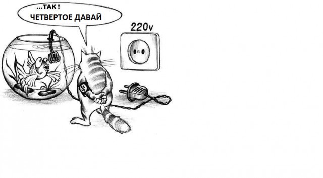 Вот что поймали....