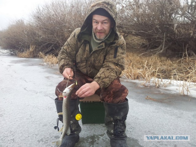 Поездка на Ахтубу.
