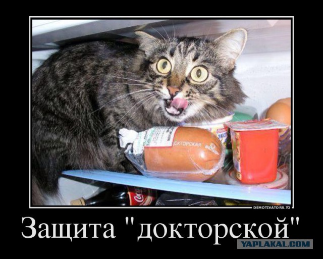 Подборка картинок из соцсетей