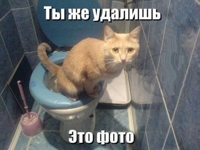 Разные картинки