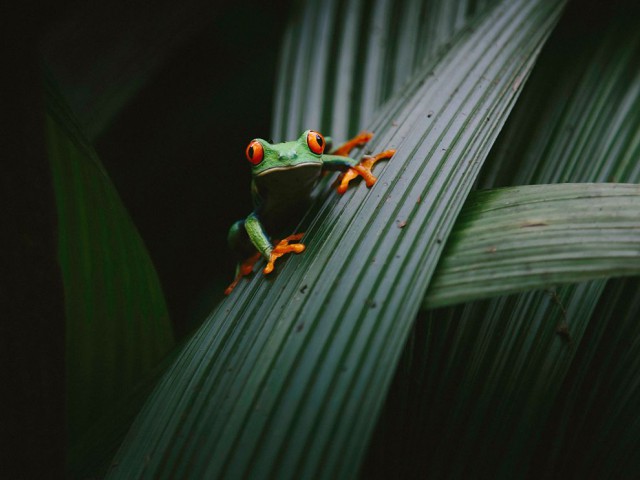 Прикольная фотоподборка