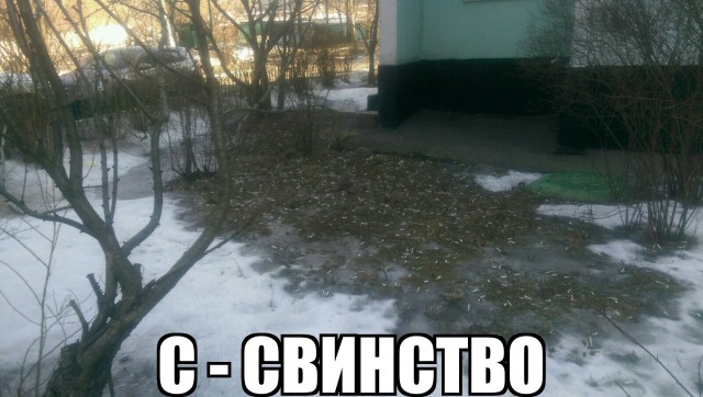 Разруха в головах