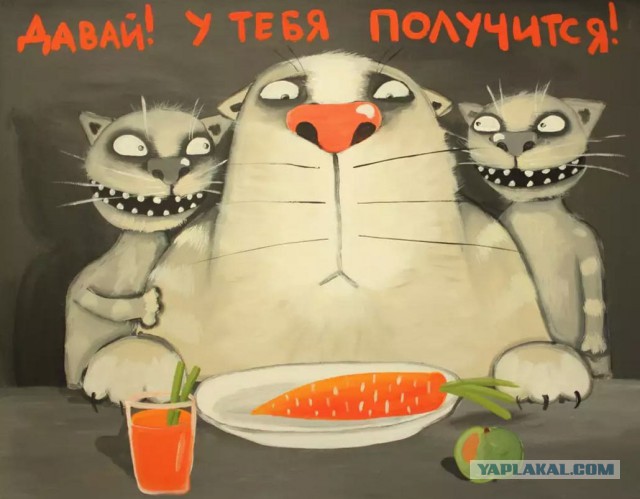 Эта художница делает самые странные фотографии в мире!
