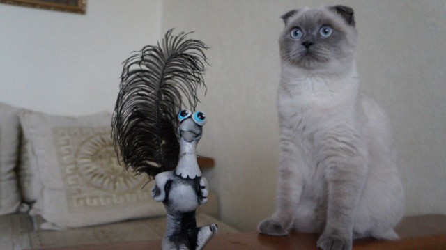 Коты и Кошки