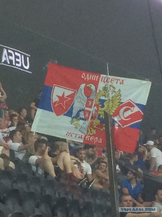 Сербские болельщики устроили флешмоб с российским флагом