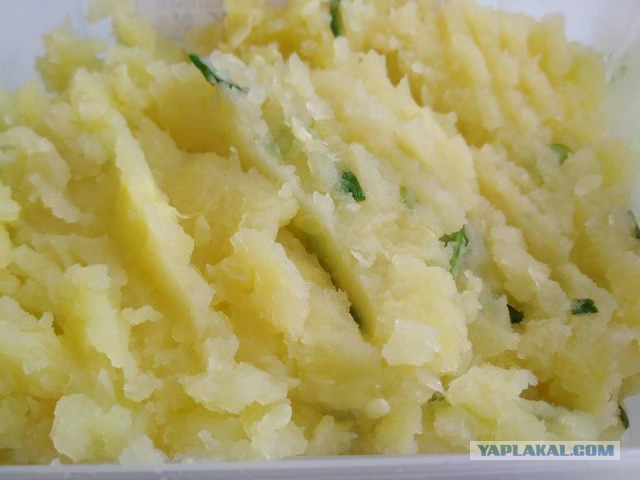 Вся правда о КАБАЧКАХ и ЦУККИНИ