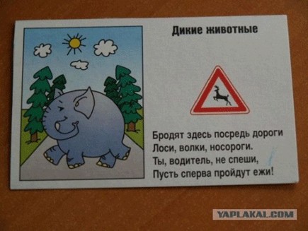 ПДД (16 фото)