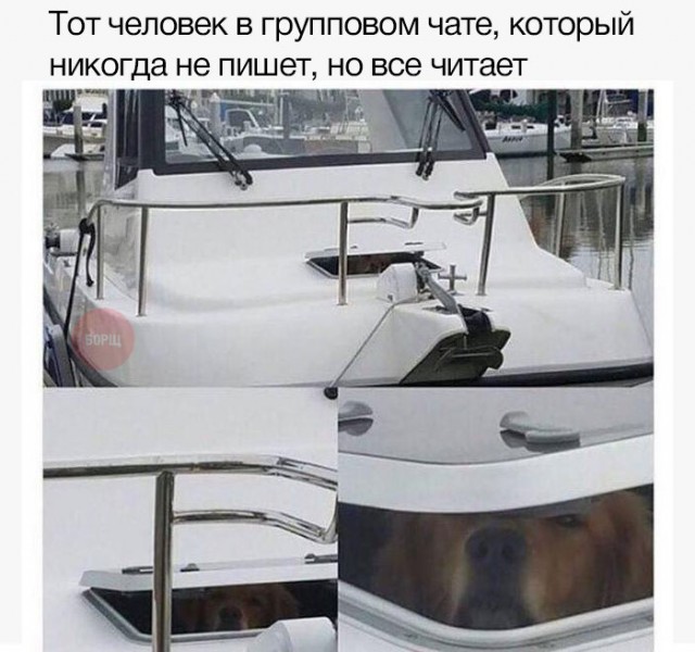 Нестандартный юмор