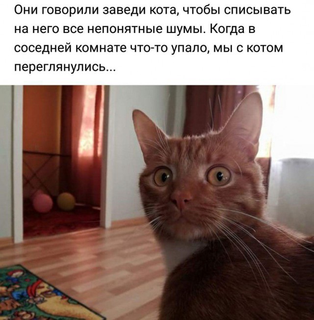 Фото, которые поднимают настроение