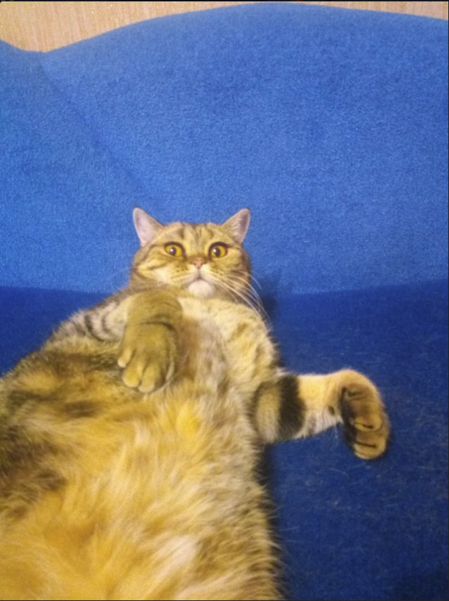 Немного милоты