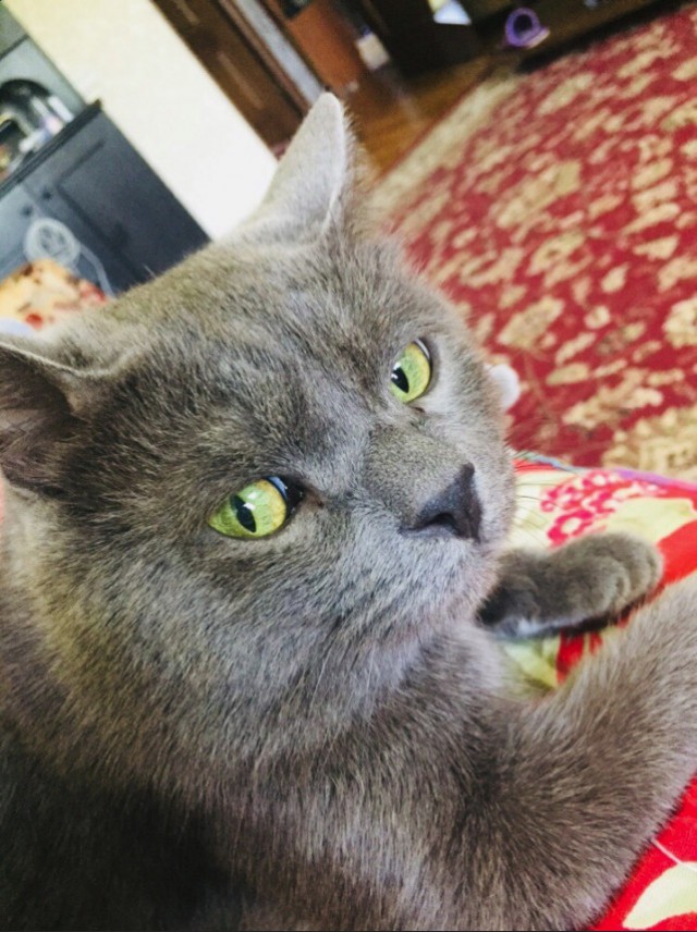 Немного милоты