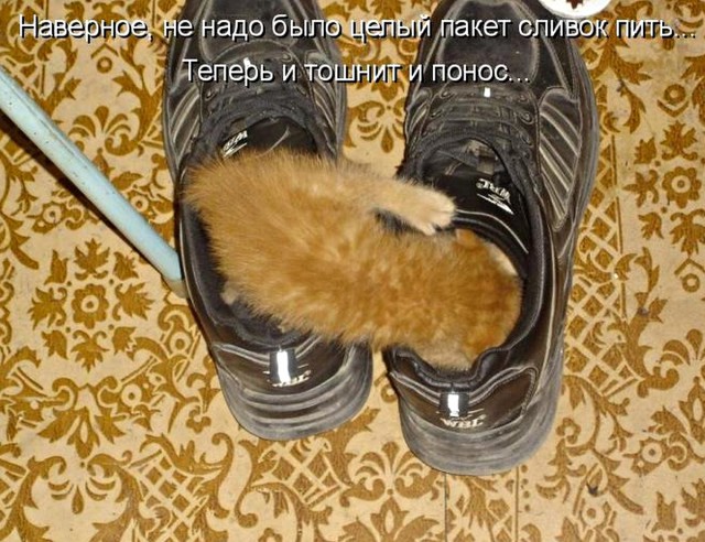 Как проиграть выигранную войну. Польский опыт