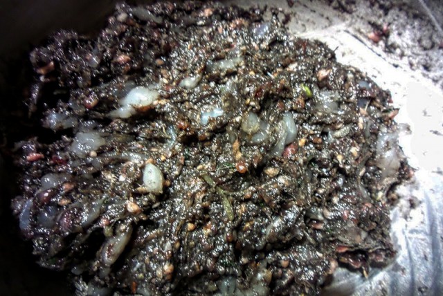 Хот-дог battle