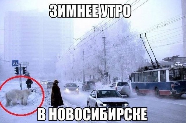 Подборка интересных и веселых картинок 31.12.18