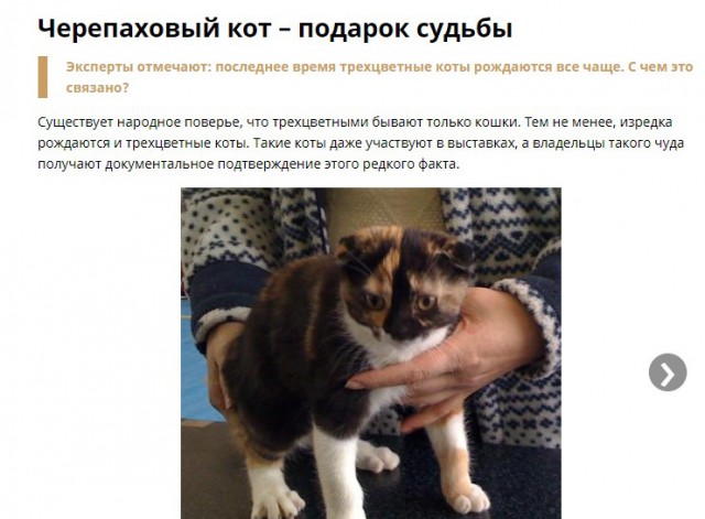 Настоящий самурай всегда настороже