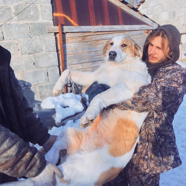 Успешный российский фотограф бросила работу и теперь живёт за городом с сотнями больных животных