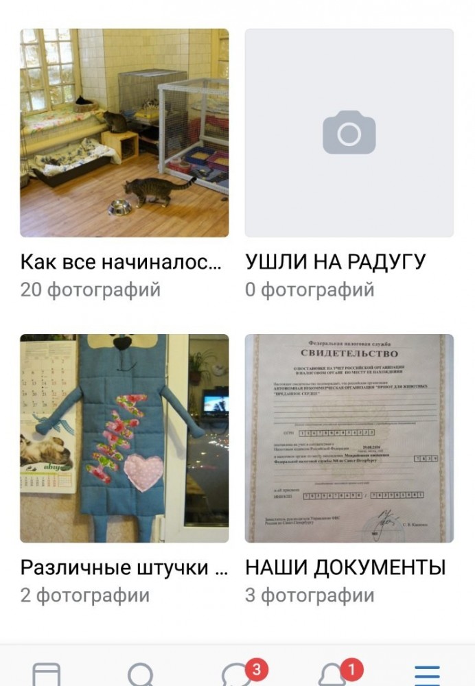 Помогите вернуть кота! Приют "Преданное сердце" украл кота и не отдает!-2