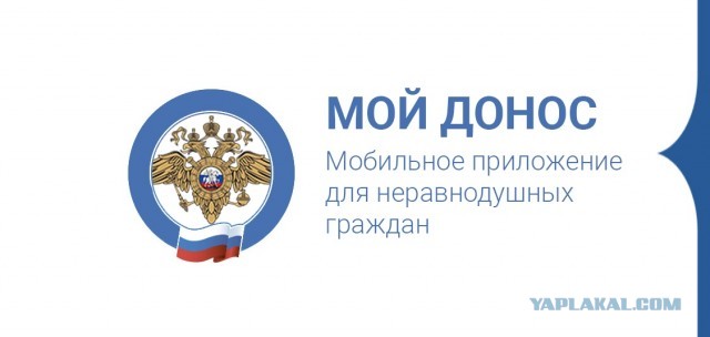 Приготовьтесь платить: Владимир Путин ввёл налог для самозанятых ещё в 19 регионах страны