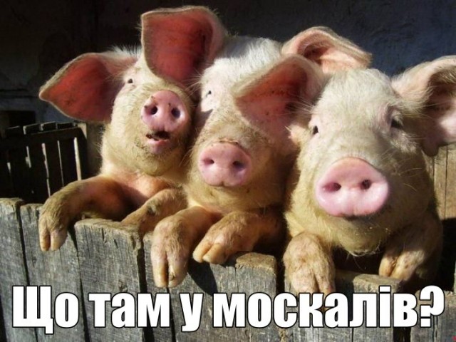 На интеграции России и Белоруссии поставили крест