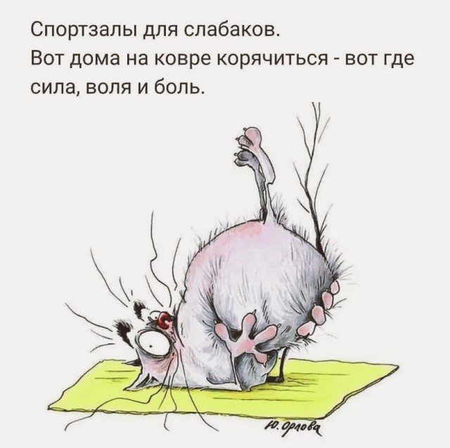 Немного картинок для настроения 30.03.20