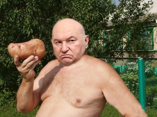 Огородник и урожай